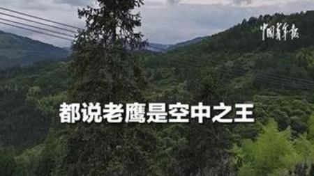 TheShy赛事官方发布悬念迭起新规，老鹰引发争议！
